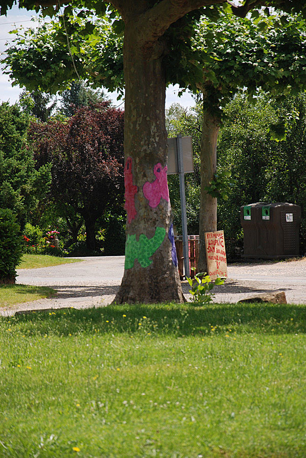 animation-ecole-village