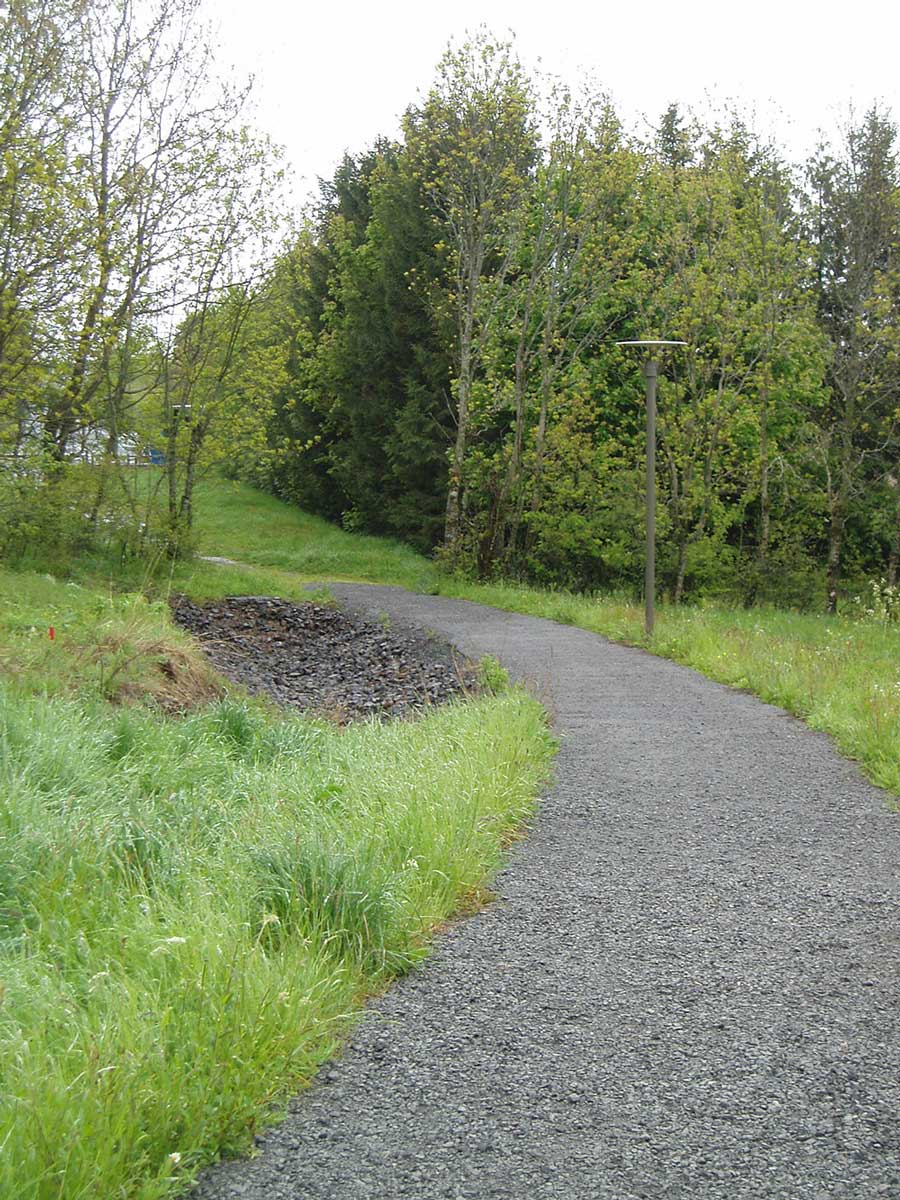 Bassin de rétention le long du chemin une noue