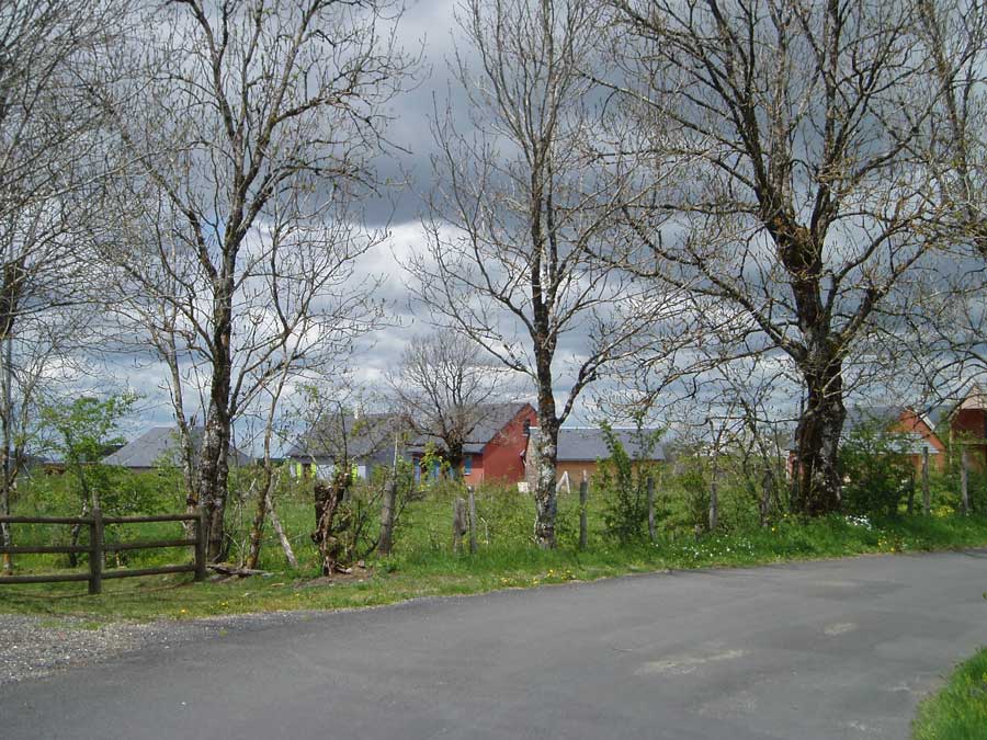 Laguiole : Préservation de la haie vive