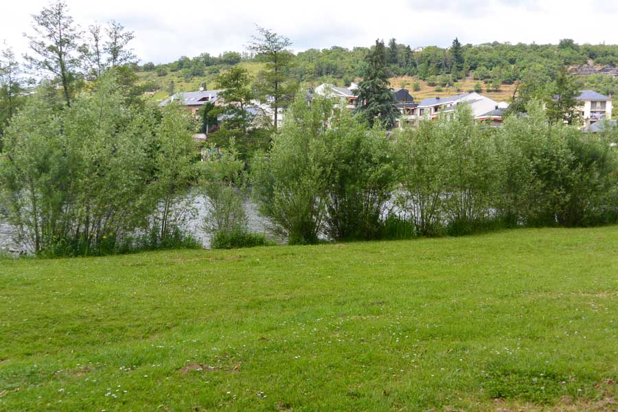La ripisylve permet le maintien des berges