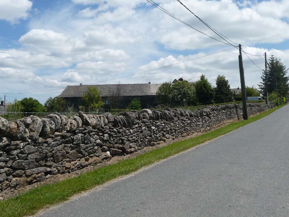 Des vivaces en pied de mur ne nécessiteraient aucun entretien.