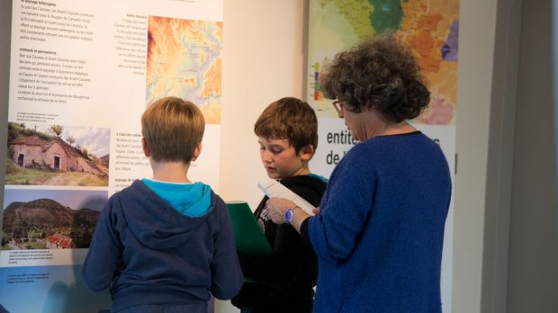 animation-scolaire-caue