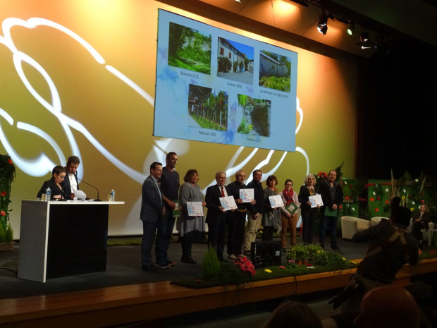 2ème Fleur pour Bozouls