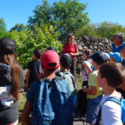 enfants du patrimoine