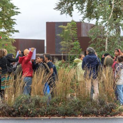 lecture-paysage-musee-soulages-rodez-00008