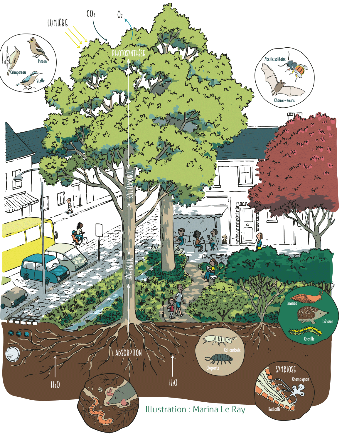 1_carte-postales-arbres_VH_22_04_2615-2