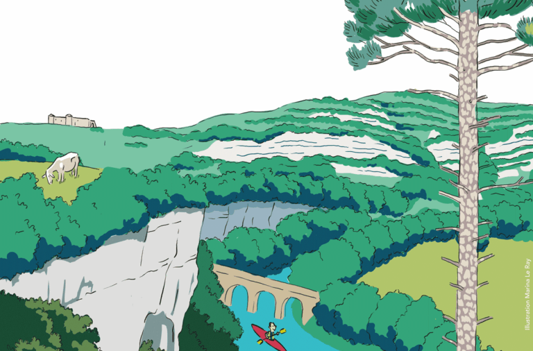 affiche-expo-arbre-visuel-web