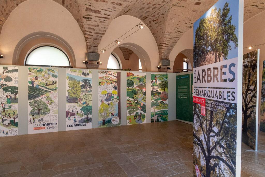 exposition-cohabiter-avec-les-arbres-rodez-aveyron-caue-24
