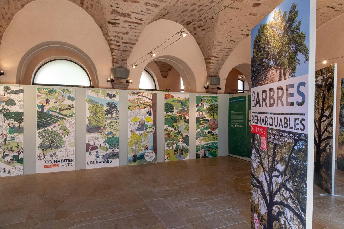exposition-cohabiter-avec-les-arbres-rodez-aveyron-caue-24